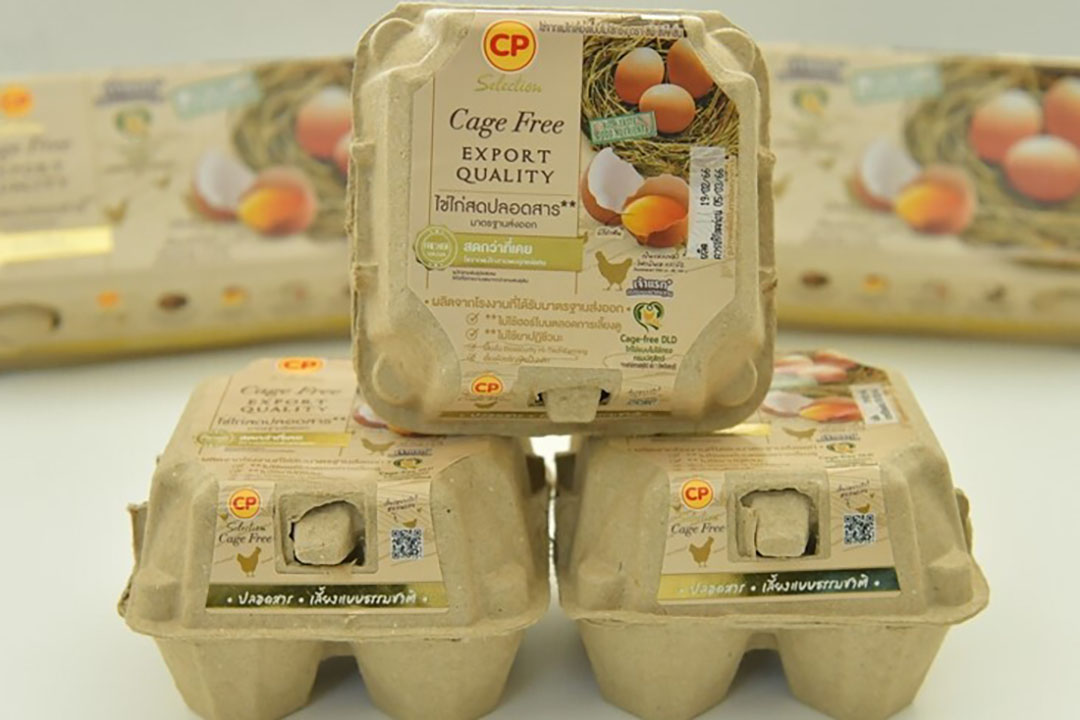 First Certified Low Carbon Eggs Launched In Thailand Poultry World