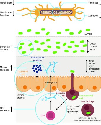 PoultryWorld - Empowering gut health to control Salmonella