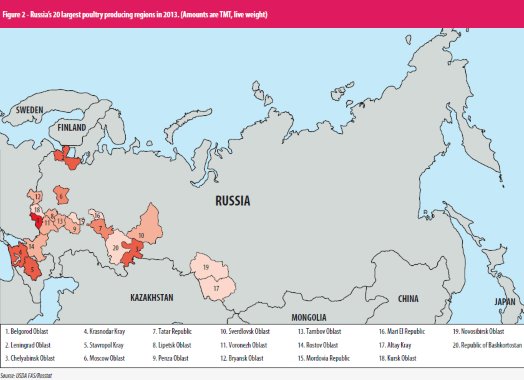 Russian market saturated by domestic poultry production - Poultry World