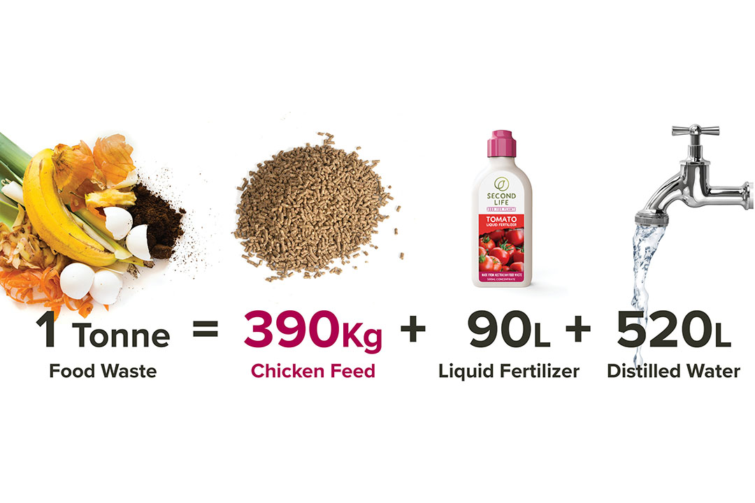 Feed Conversion ratio. Poultry Feed Market Price graph.