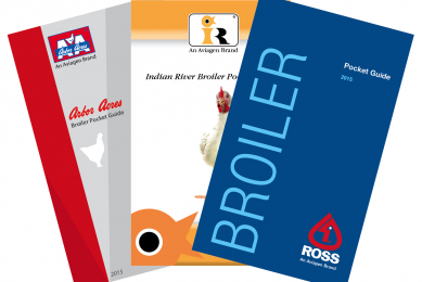 Aviagen releases new pocket guide for broilers