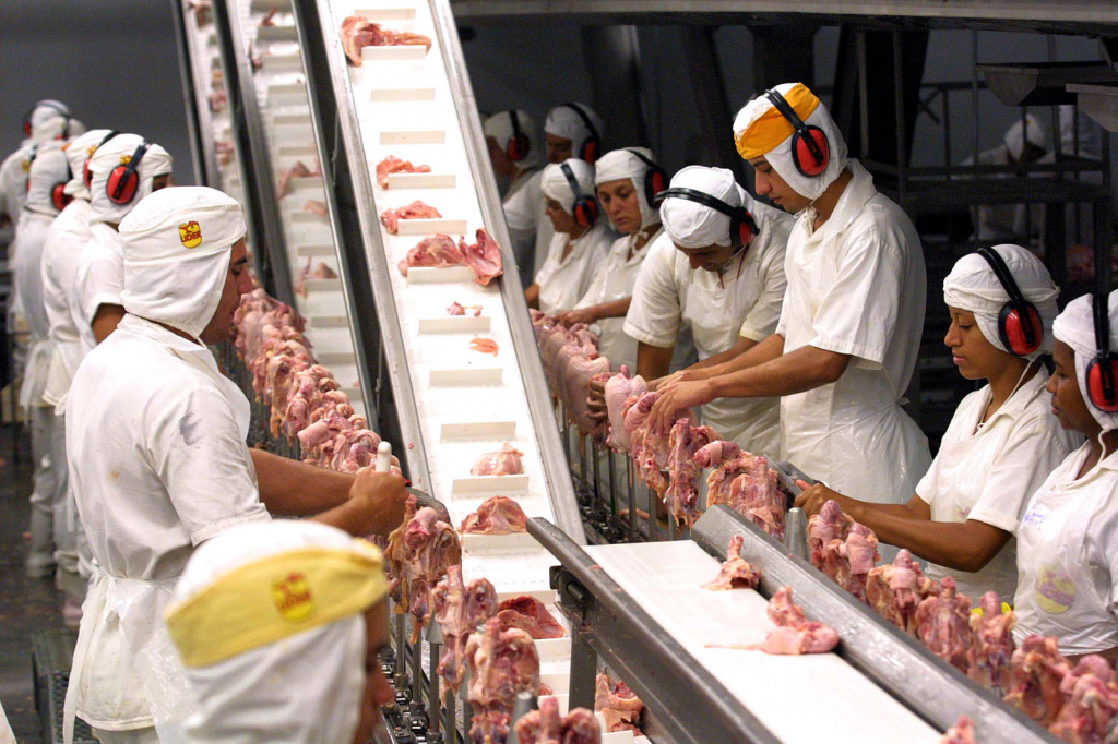 Exports push Brazilian poultry growth - Poultry World