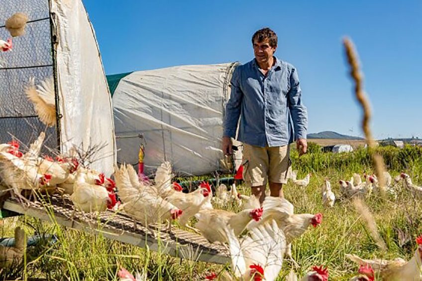 Poultry World Pick of the Year 2020: Farm reports - Poultry World