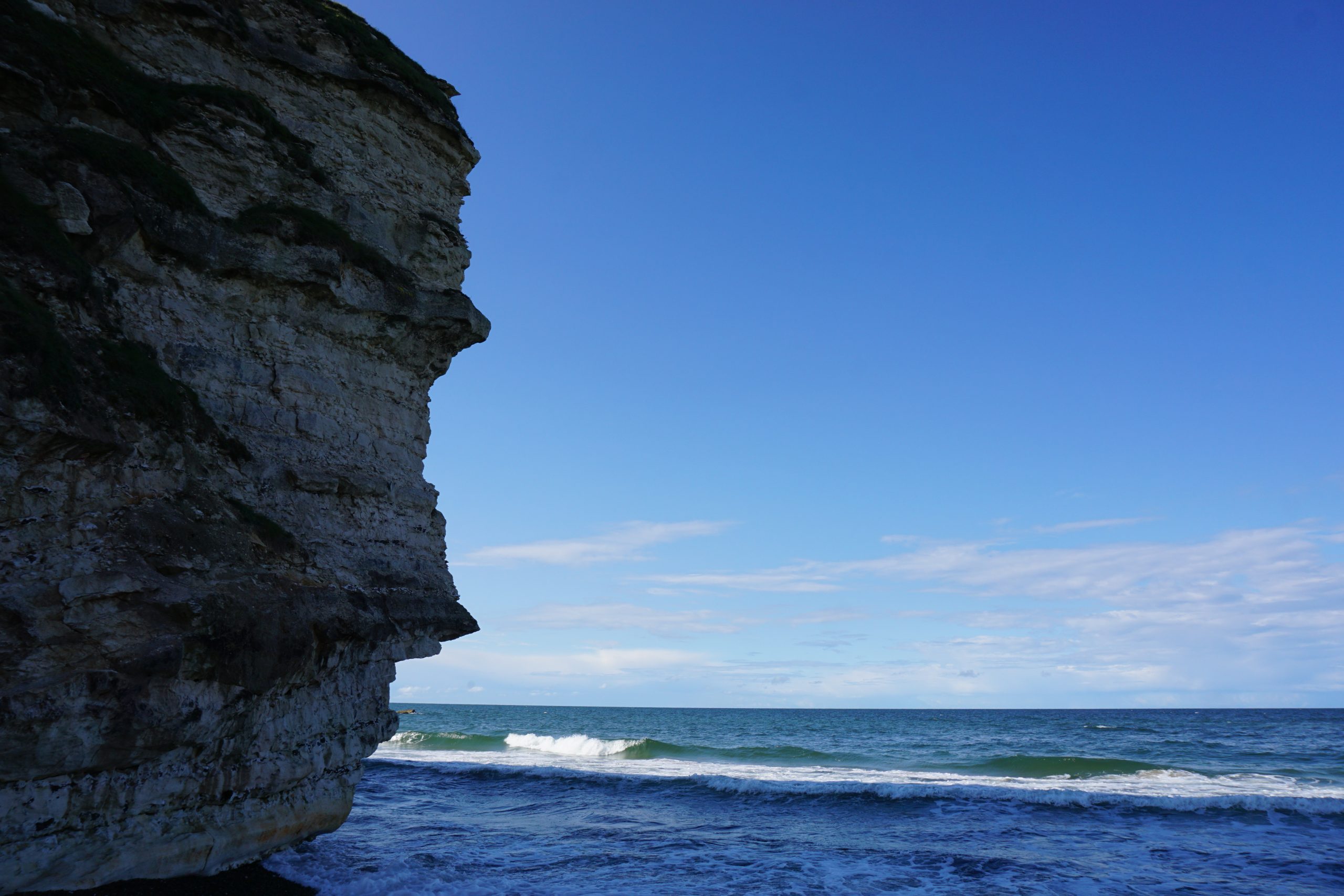 Proteins derived from the sea - Poultry World