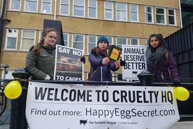 Activists  occupy  Noble Foods  headquarter.  Photo: Humane League