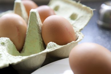 Enforced housing leads to Devon farm shop giving away eggs. Photo: Jan Willem Schouten