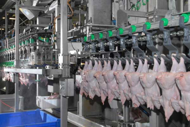 US Senate passes meat inspection measure