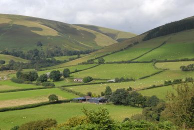 Dialogue needed with Welsh Assembly over new poultry plants. Photo: Nick Spurling/REX/Shutterstock