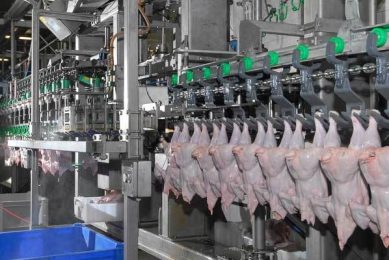 Cherkizovo Group and Grupo Fuertes plan turkey farm in Russia