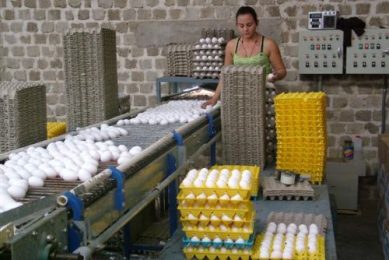 “Eggs of today” across Mexico