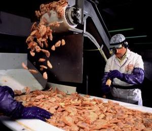 US challenges China in chicken anti-dumping case