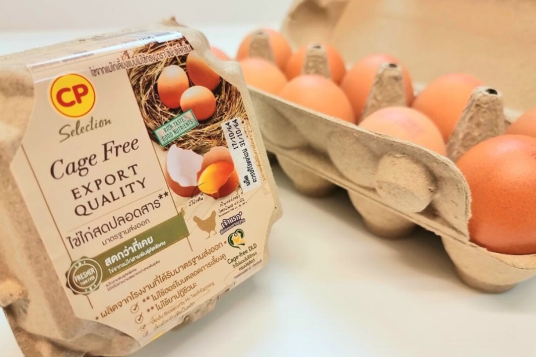 Cp Foods Increases Cage Free Egg Production By 30 Poultry World