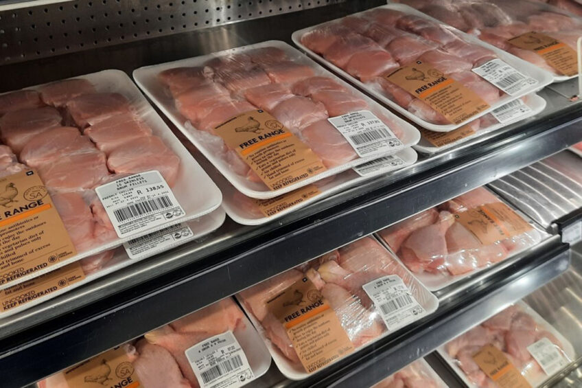 South Africa: Should VAT and tariffs be lifted on chicken? - Poultry World