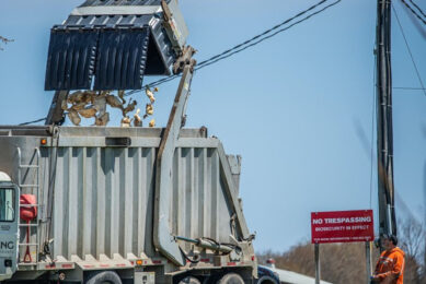 Dead ducks are moved to a biowaste disposal truck at a farm under biosecurity due to the highly pathogenic H5N1 virus. Photo: Jo-Anne McArthur