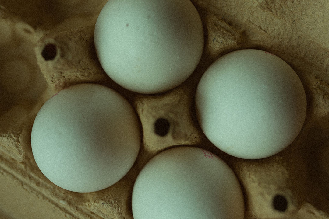 War pushes egg prices in Ukraine to record heights Poultry World