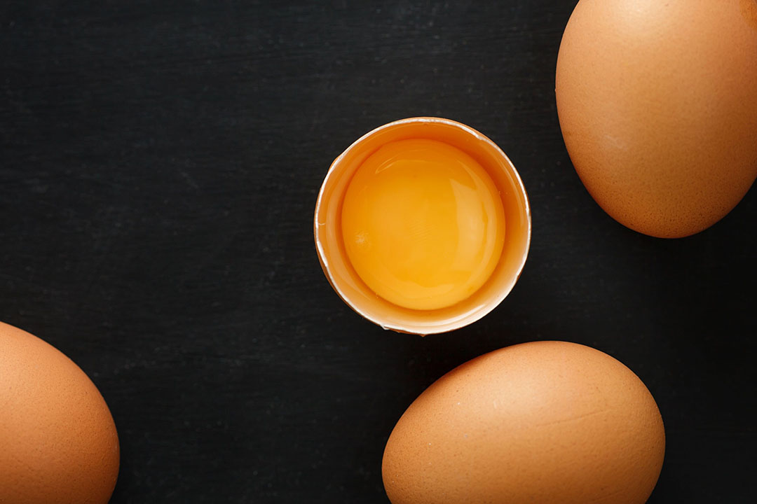 Optimising layer performance and designing functional eggs with selenium  yeast - Poultry World