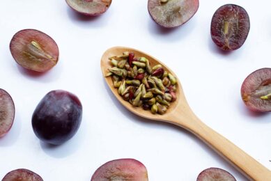 Grape seed extract also plays a significant role in enhancing immunity through histological and functional changes in various body tissues and immune organs.