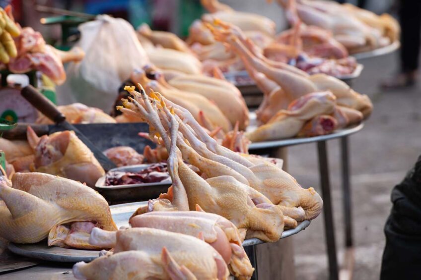 Currently, veterinary public health interventions to limit and prevent the spread of the virus focus on addressing the disease in the markets, including banning the storage of birds overnight, enforcing market ‘rest days’ and separating bird species in the markets. Photo: Canva