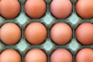 The changes to free-range egg marketing laws follow detailed consultations and will enable eggs to be labelled as free-range instead of barn when laying poultry throughout the duration of mandatory avian influenza housing measures. Photo: Canva