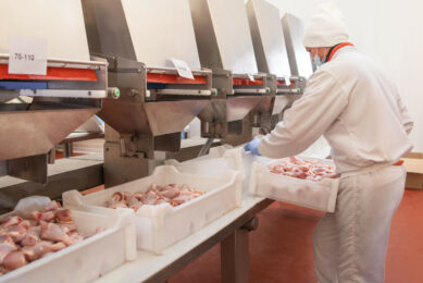 At MHP, 9,400,000 heads are slaughtered per week. Photo: Canva
