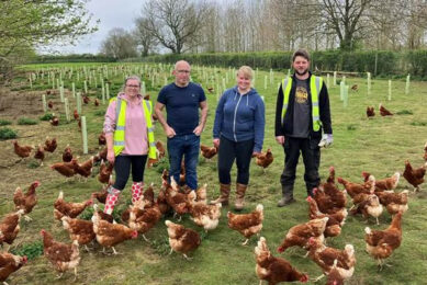 Noble Foods colleagues Zoe Harding-Hubbard, Kriss Brown, Lee Green and Kat Harvey worked among Beckingham Farm’s free-range flock. Photos: Noble Foods