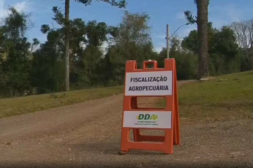 Francisco Lopes, Deputy Director of the Department of Animal Health and Defence (DDA) of Rio Grande do Sul, stressed that teams are investigating poultry properties in the region, as well as to guide on biosecurity measures and raise awareness among the population for reporting suspicions. Photo: RBS