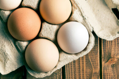 The consumption of eggs in France grew by 5.2% in the first few months of this year. Photo: Canva<span class=""> </span>