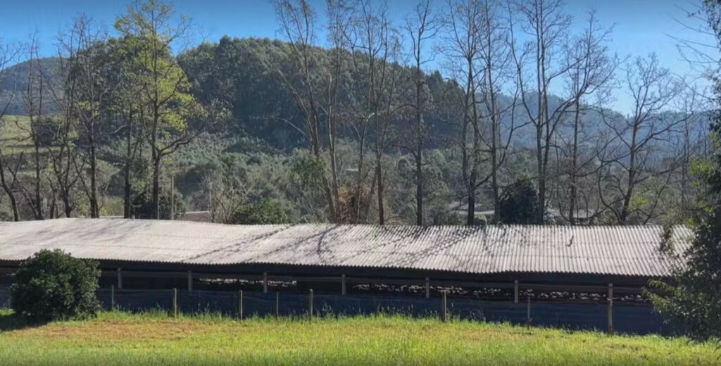 Aviary where Newcastle Disease was found. Photo: RBS