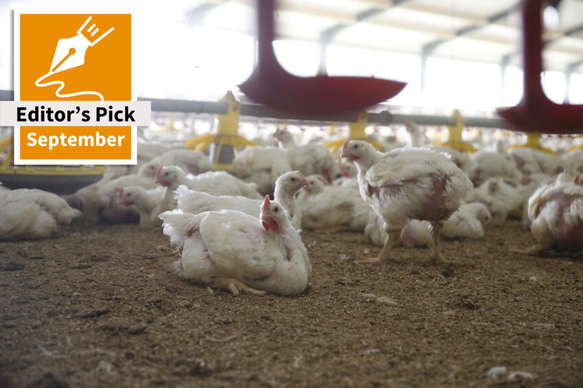 Transition to European Chicken Commitment has a major impact