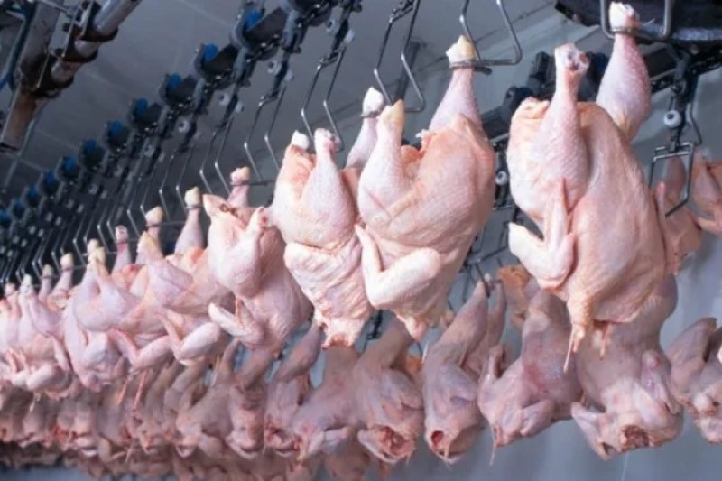 Poultry production in Brazil forecast to grow 1.8% in 2024