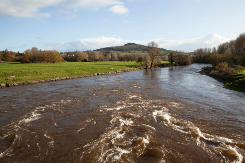 Working with egg packers, the BEIC identified “high risk” free-range egg production farms in the Wye and Usk catchment areas. Photo: Canva