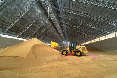 Brazil’s corn harvest is expected to reach 112.7 million tonnes, up 54.4% from a decade ago. Photos: Daniel Azevedo