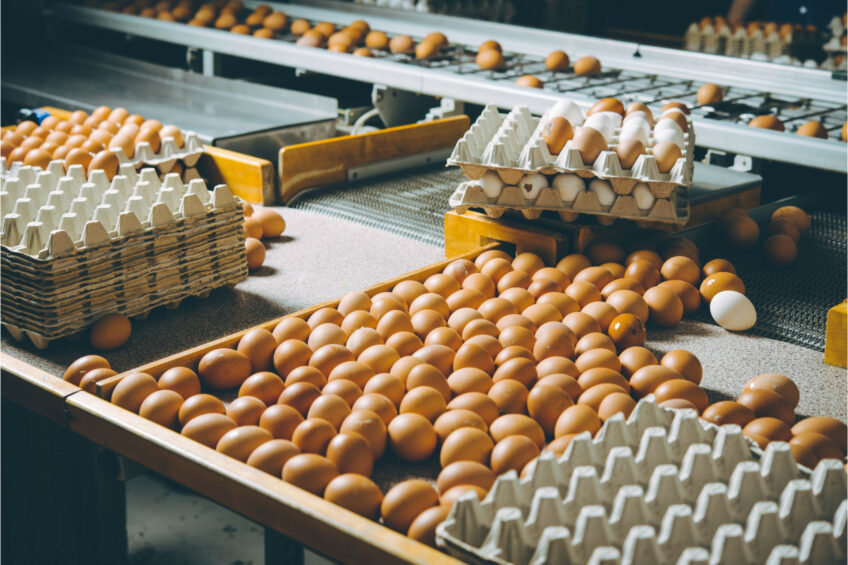 Among the 40 largest poultry farms accounting for 90% of deliveries to the Russian market, only 30% have long-term contracts with retail chains. Photo: Canva