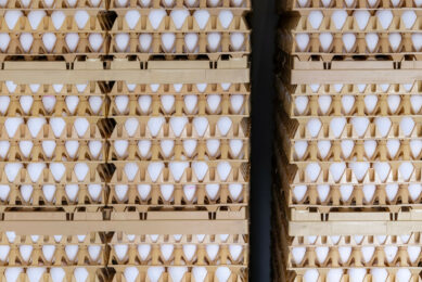 Ukrainian eggs are reportedly 20-30% cheaper compared to those manufactured by Bulgarian farmers. Photo: Canva