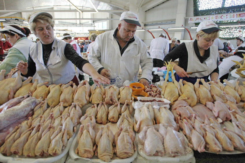 Multiple factors affect Russian broiler meat production, leading to higher consumer prices. Photos: ANP