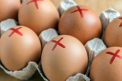 Salmonella scare – France recalls 3 million eggs