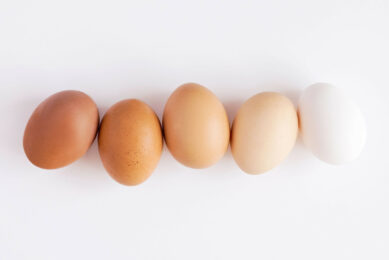 Technological innovations designed to increase the number of eggs eaten in the US are set to meet consumer demand for meals that can be prepared in under 5 minutes. Photo: Canva