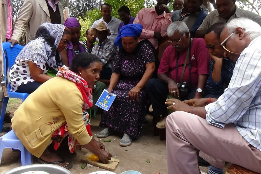 The NFL have been collaborating with India, the Netherlands, Ethiopia, Uganda and Kenya to promote agro-ecological practices. Photo: Natural Livestock Farming Foundation