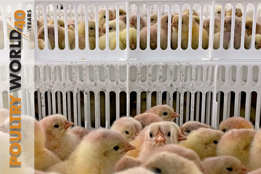 Animal welfare in Poultry World 8