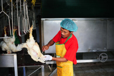 Strict rules need to be followed to comply with Halal certification. Photo: ANP