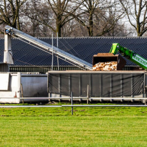 Bird flu was detected at a layer farm in the Netherlands. Photo: Bert Jansen