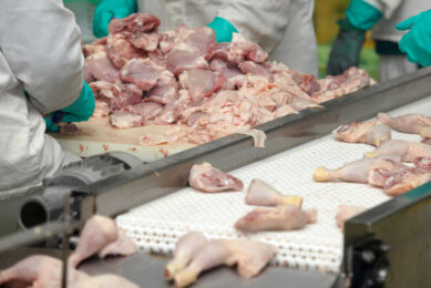 Russian poultry exports are driven by Asia and the Middle East. Photo: Canva