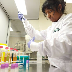 A researcher in the middle of preparing lactic acid bacteria for treatments. Photo: Bydgoszcz University of Science and Technology