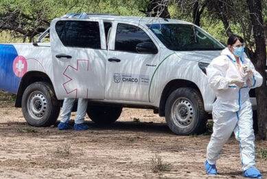 Highly pathogenic avian influenza has re-emerged on the continent after an apparent absence of new cases. Photo: Gobiermo del Chaco