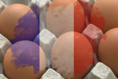 In-ovo sexing of eggs has been mandatory since 2023 in France. Photo: Canva