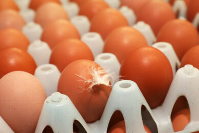 A dozen eggs now costs nearly US$5 (€4.80) on average across the US. Photo: Henk Riswick