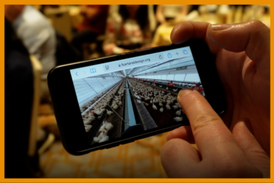 Video: How virtual training transforms animal welfare education