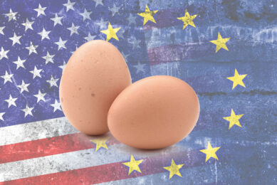 Egg prices in the US are generally much more volatile than those in Europe. Photo: Canva