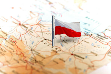 There is a proposal to ban poultry exports from certain areas in Poland. Photo: Canva